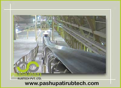 Chemical Resistant Conveyor Belt